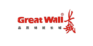 中国长城计算机深圳股...